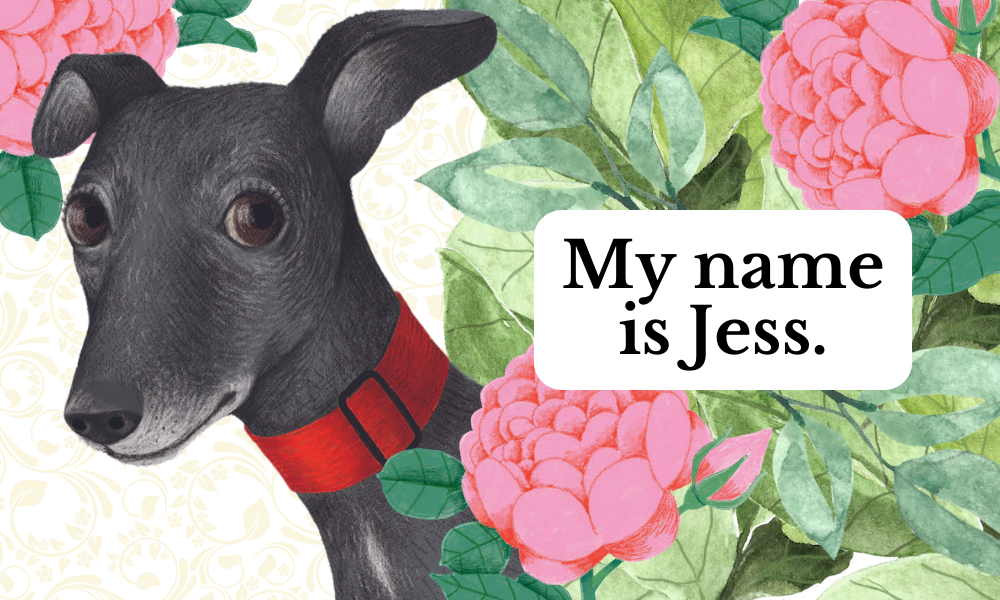 Website_WorriedWhippet