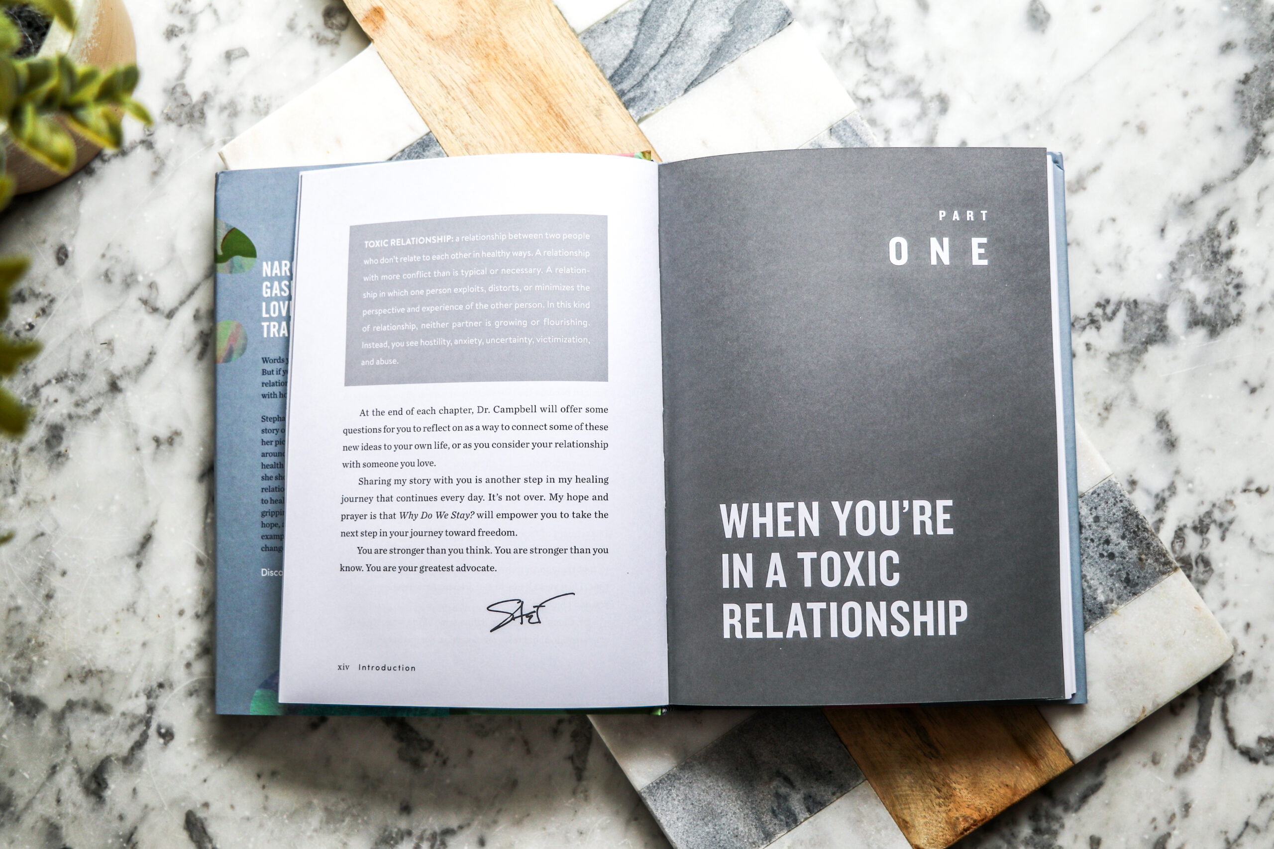 why do we stay book interior