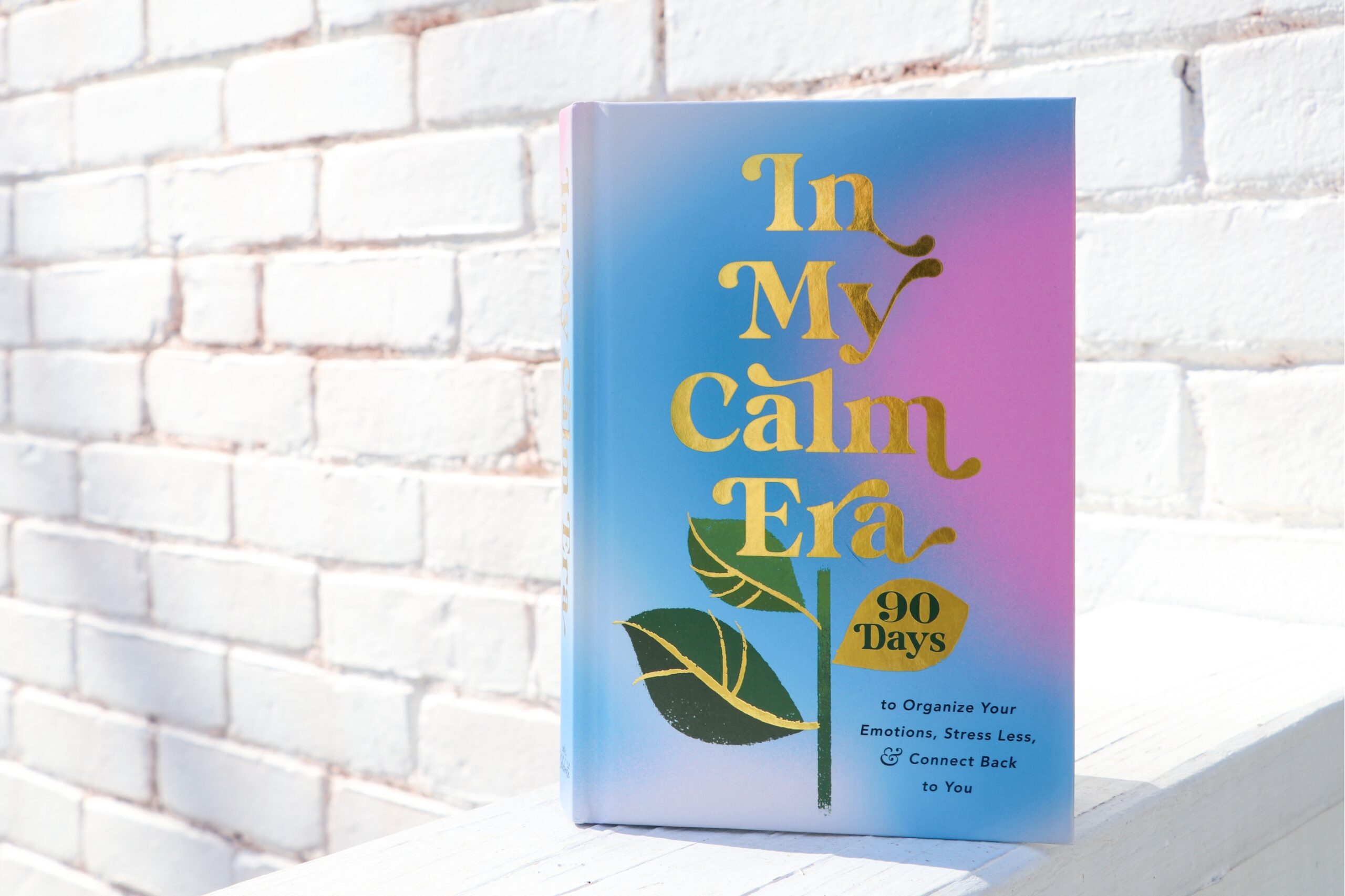 In My Calm Era Image