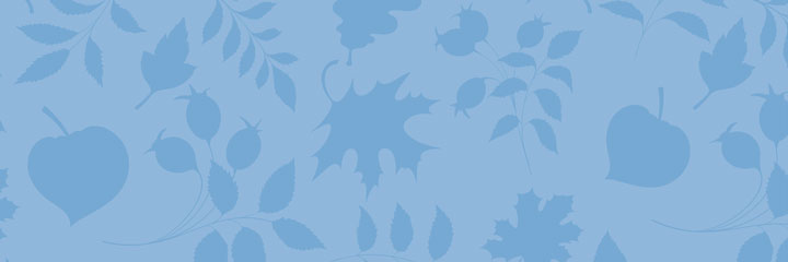 Detail - Sense & Sensibility - Jane Austen